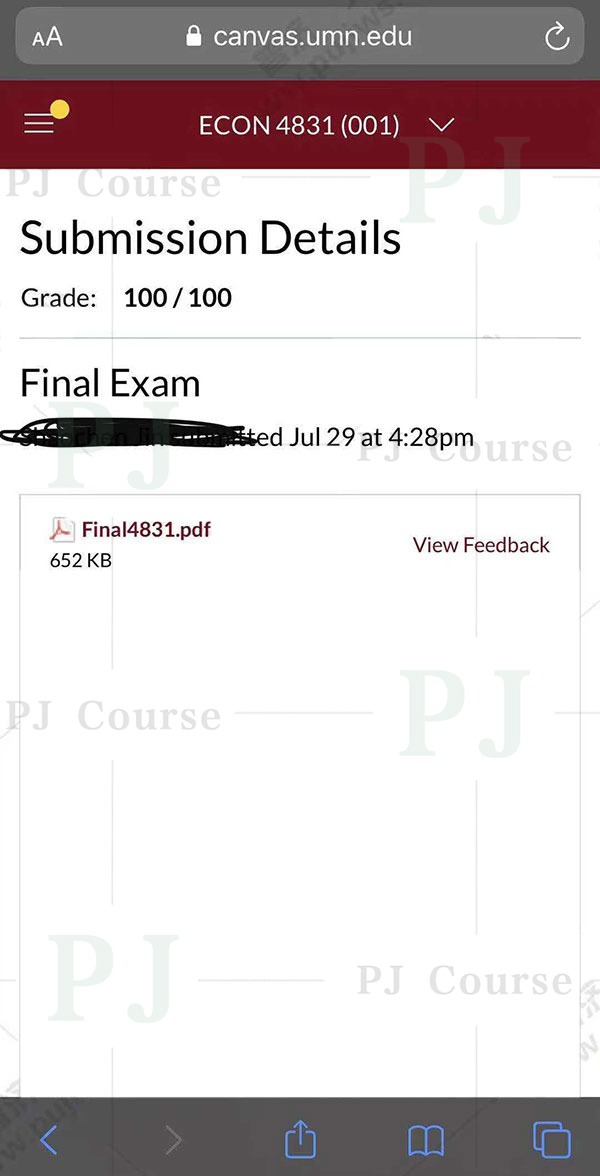 美国明尼苏达大学经济Final Exam