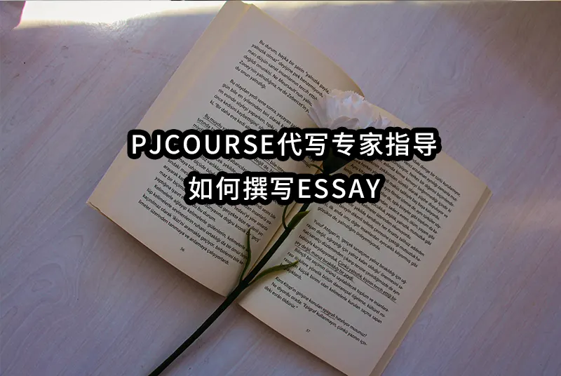 PJCOURSE代写专家指导：如何撰写ESSAY